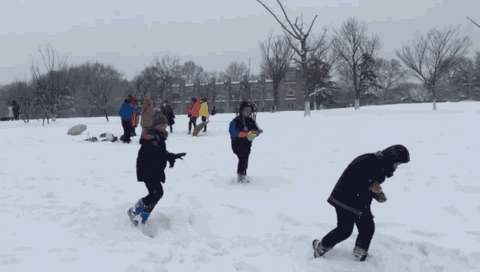 20210202100546509.gif